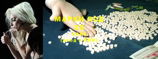 ПСИЛОЦИБИНОВЫЕ ГРИБЫ Вяземский