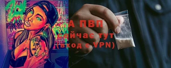 мяу мяу мука Вязьма