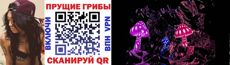 Галлюциногенные грибы Psilocybine cubensis  Купить  Шарыпово 
